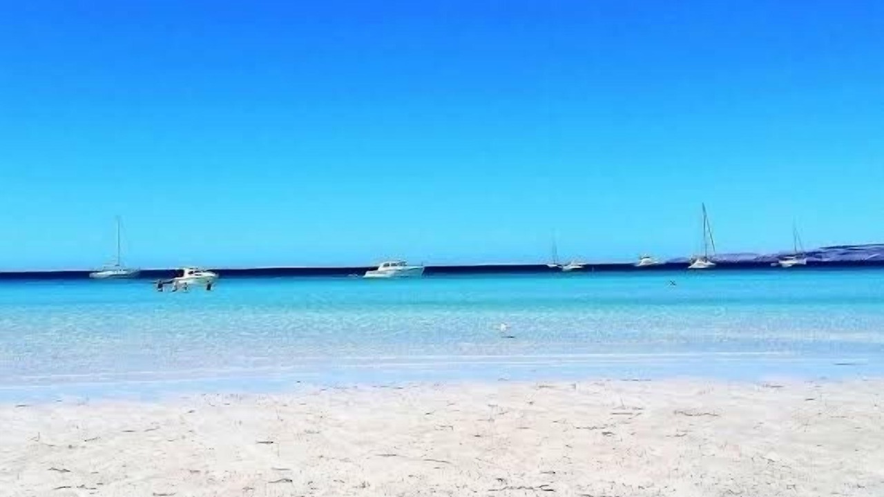 Photo of Others in Island Beach