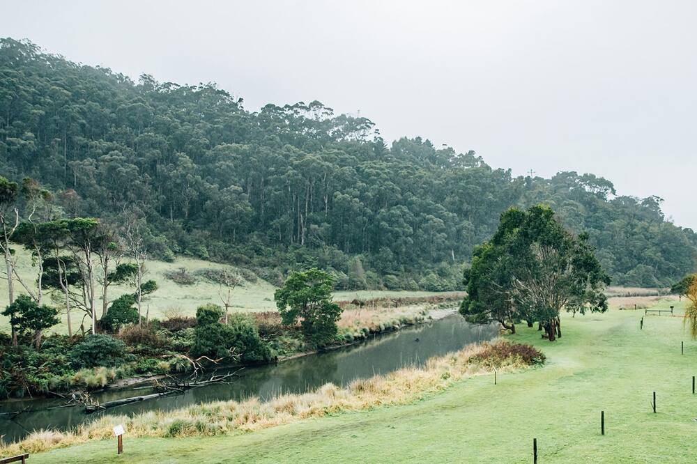 Photo of Others in Kennett River