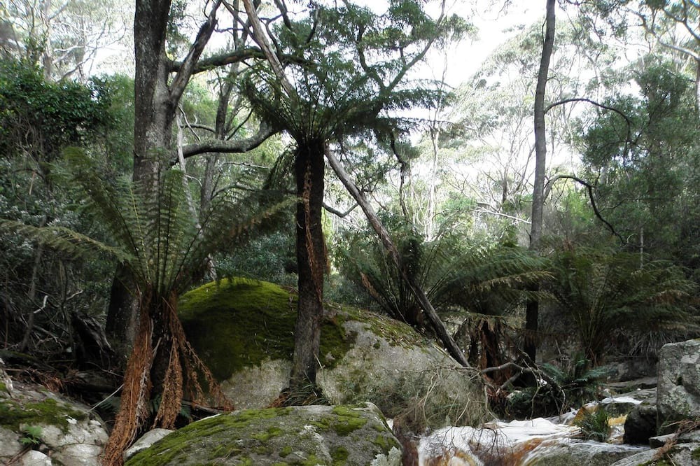 Photo of Outdoor in Emita