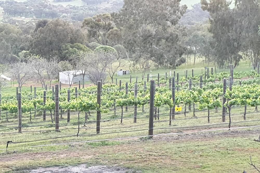 Photo of Others in West Toodyay