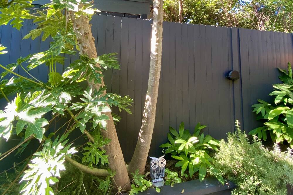Photo of Outdoor in North Bondi