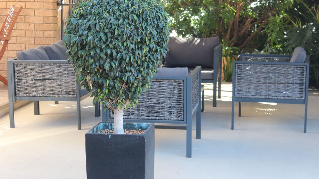 Photo of Outdoor in Moree