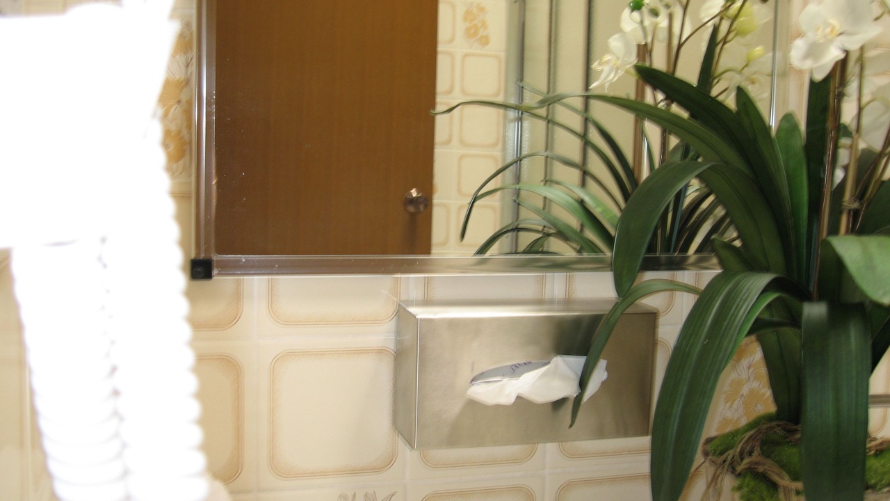 Photo of Bathroom in Moree