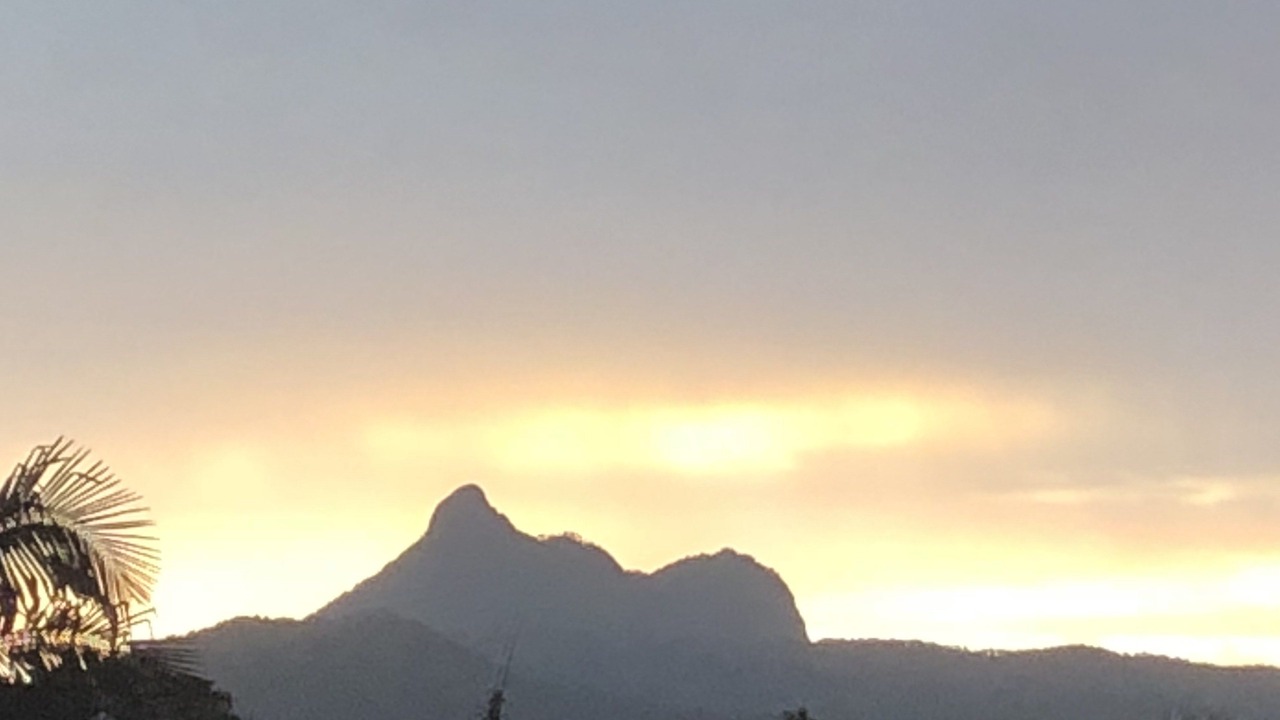 Photo of Others in Murwillumbah
