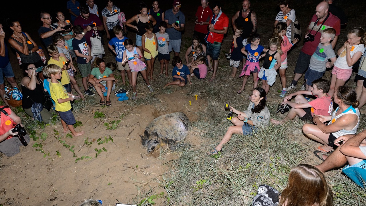 Photo of Others in Bargara