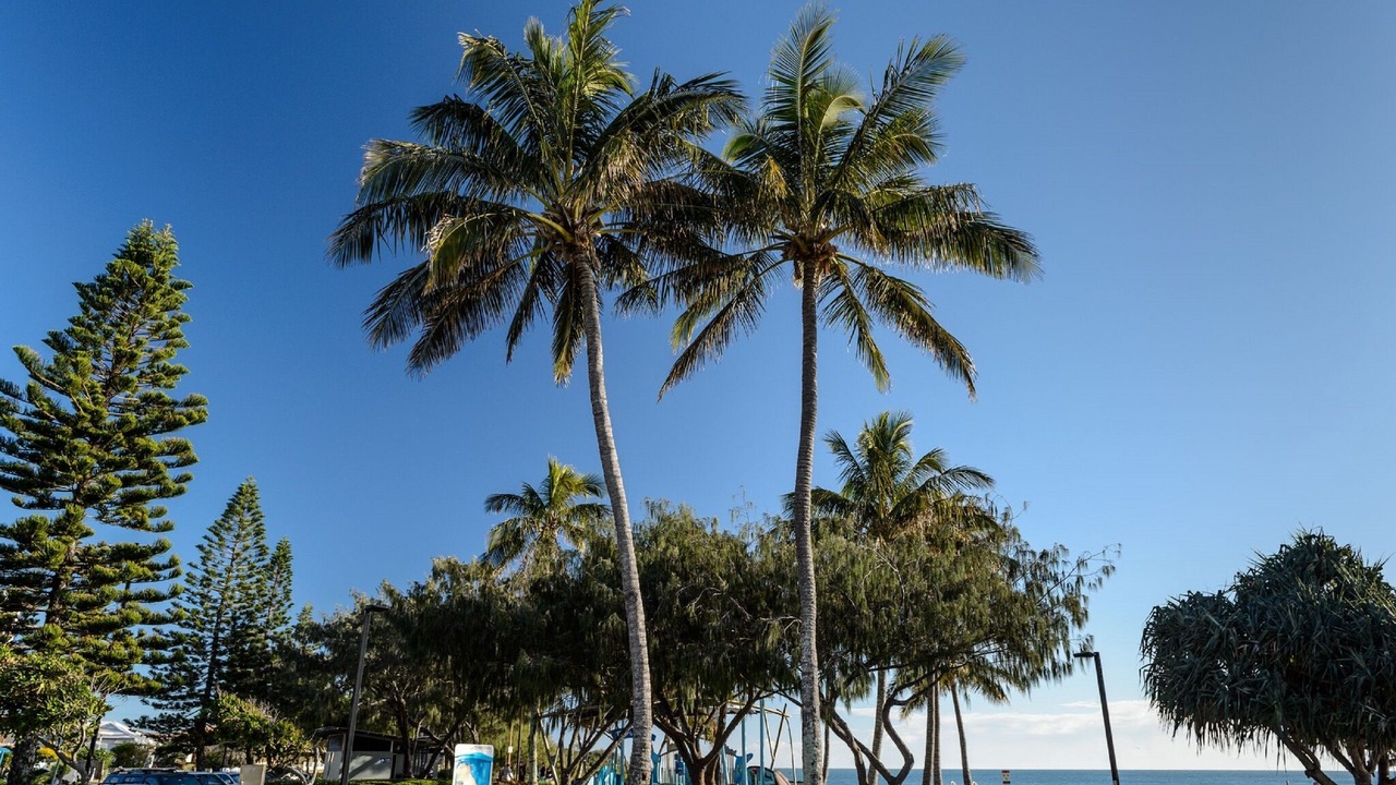 Photo of Others in Bargara