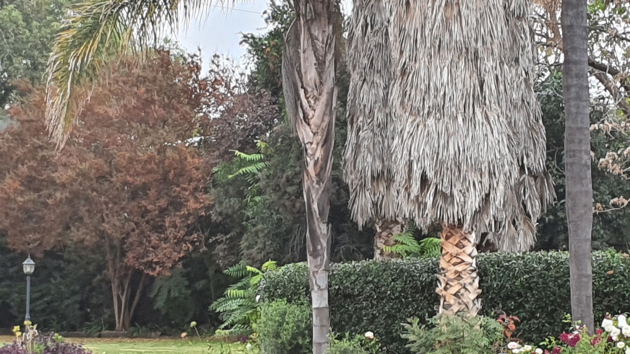 Photo of Outdoor in Nemingha