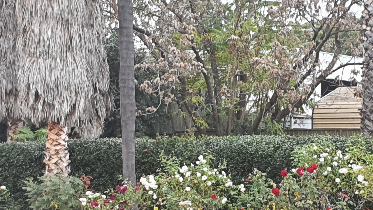 Photo of Outdoor in Nemingha