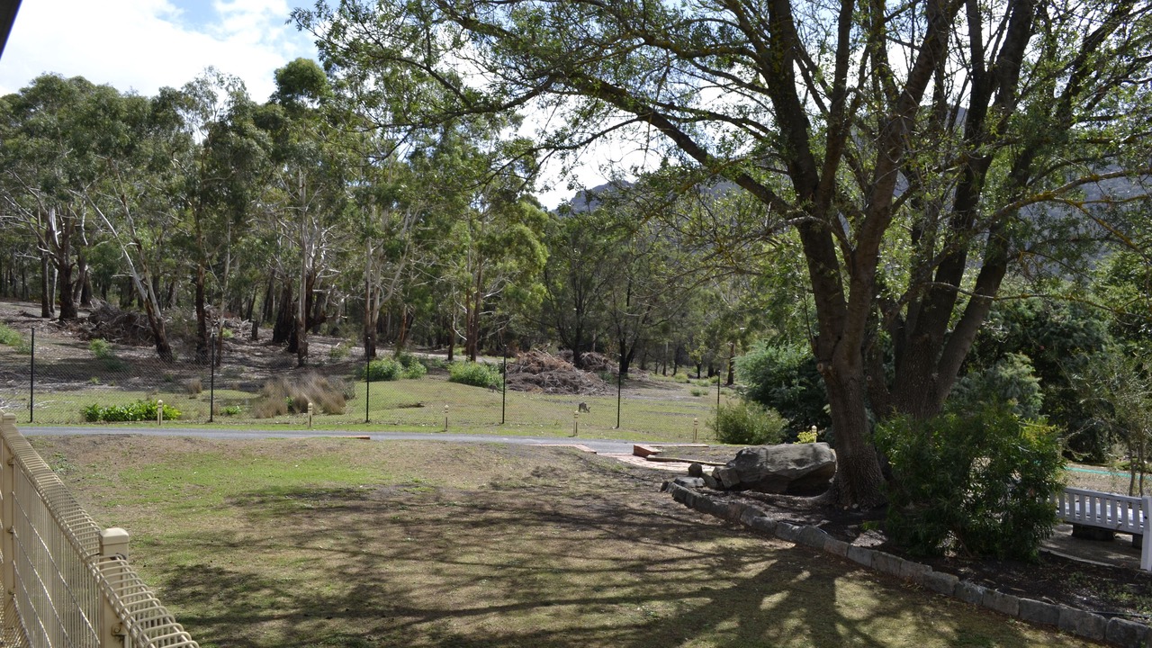 Photo of Others in Halls Gap