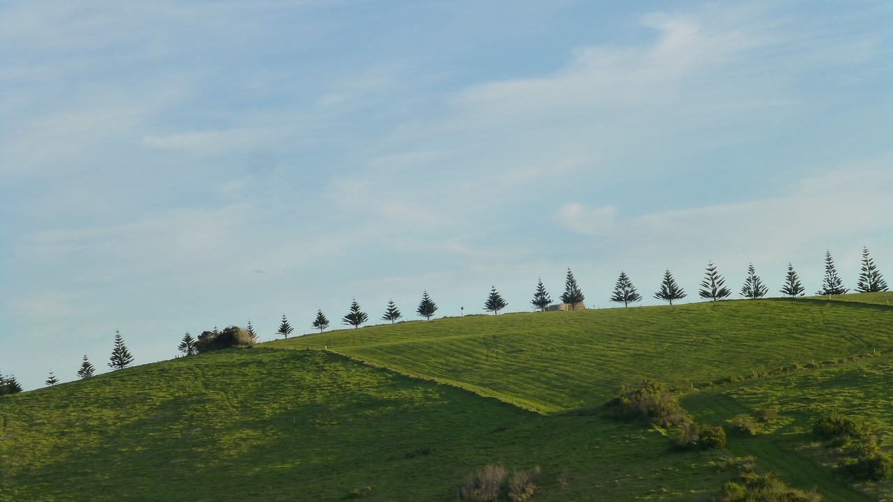Photo of Others in Gerringong