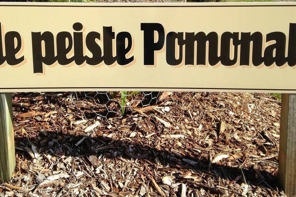 Photo of Others in Pomonal