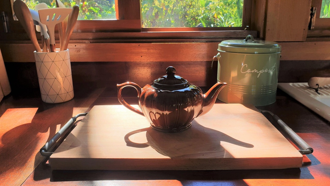 Photo of Kitchen in Palm Grove