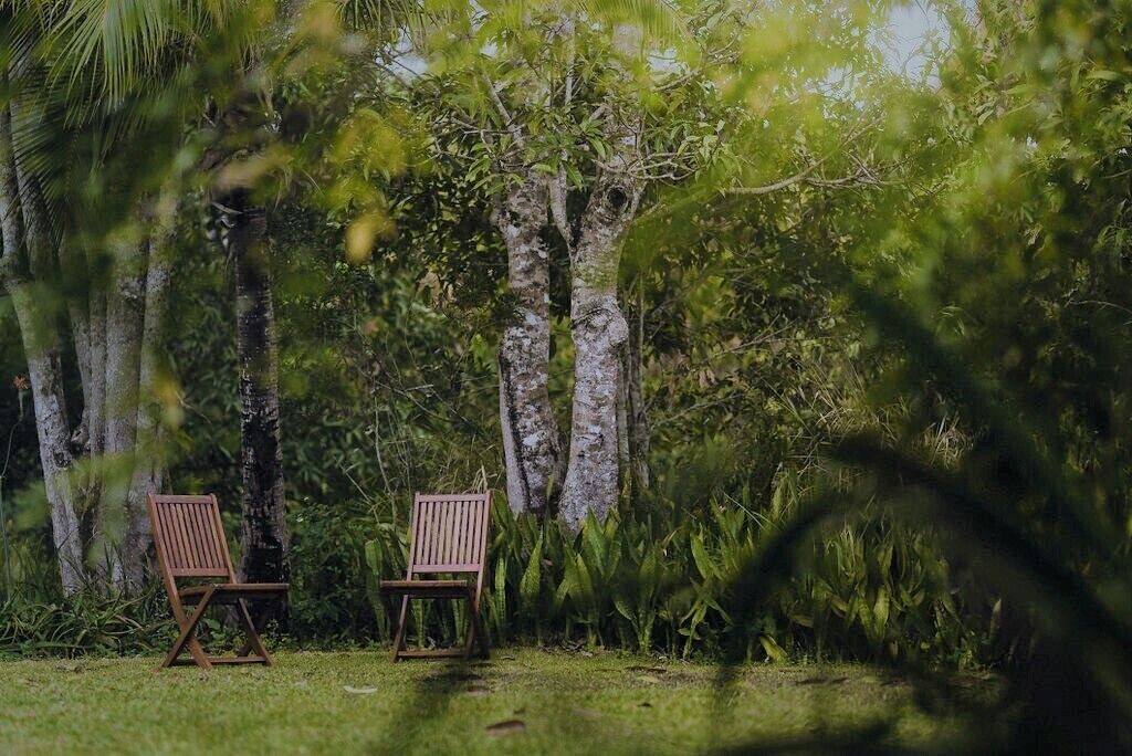 Photo of Outdoor in Palm Grove