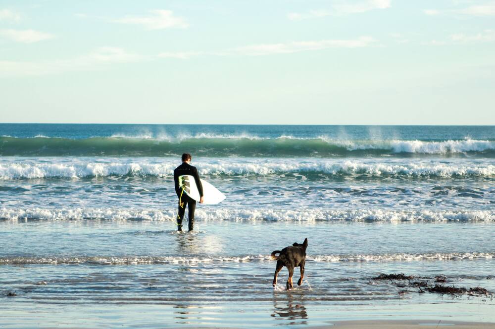 Photo of Others in Limestone Coast