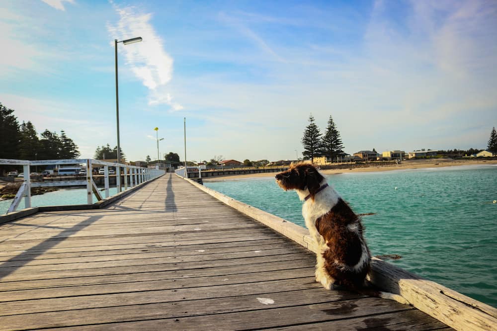 Photo of Others in Limestone Coast