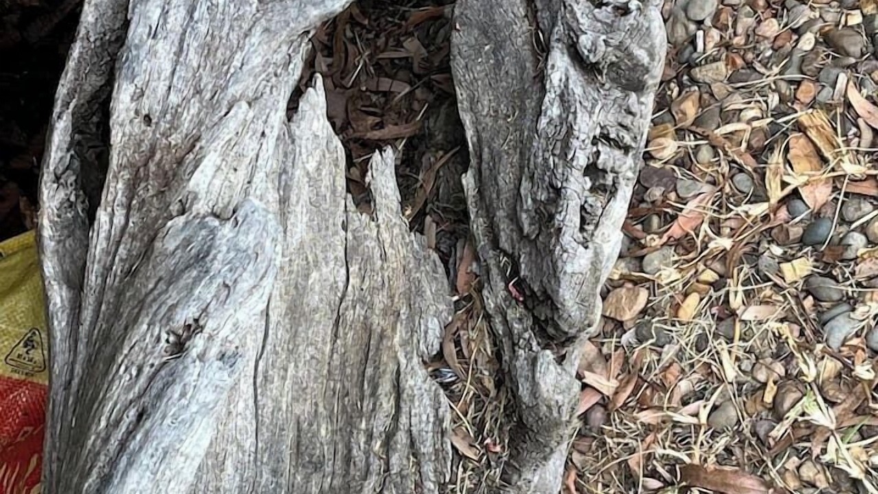 Photo of Outdoor in Bar Point