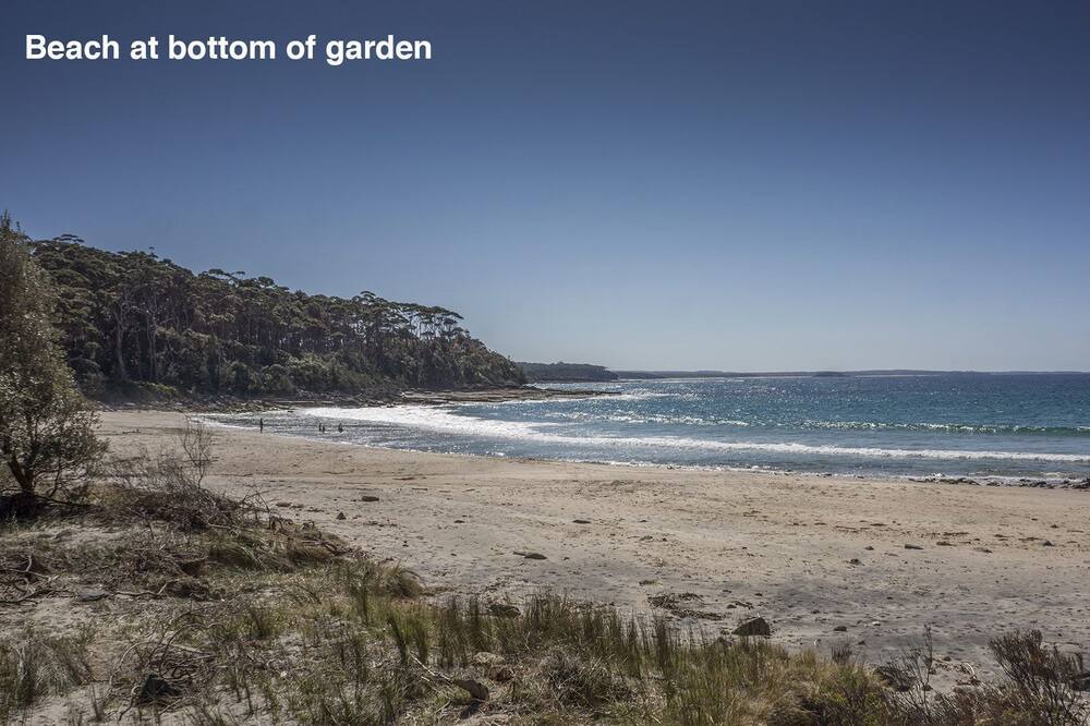 Photo of Others in Bawley Point