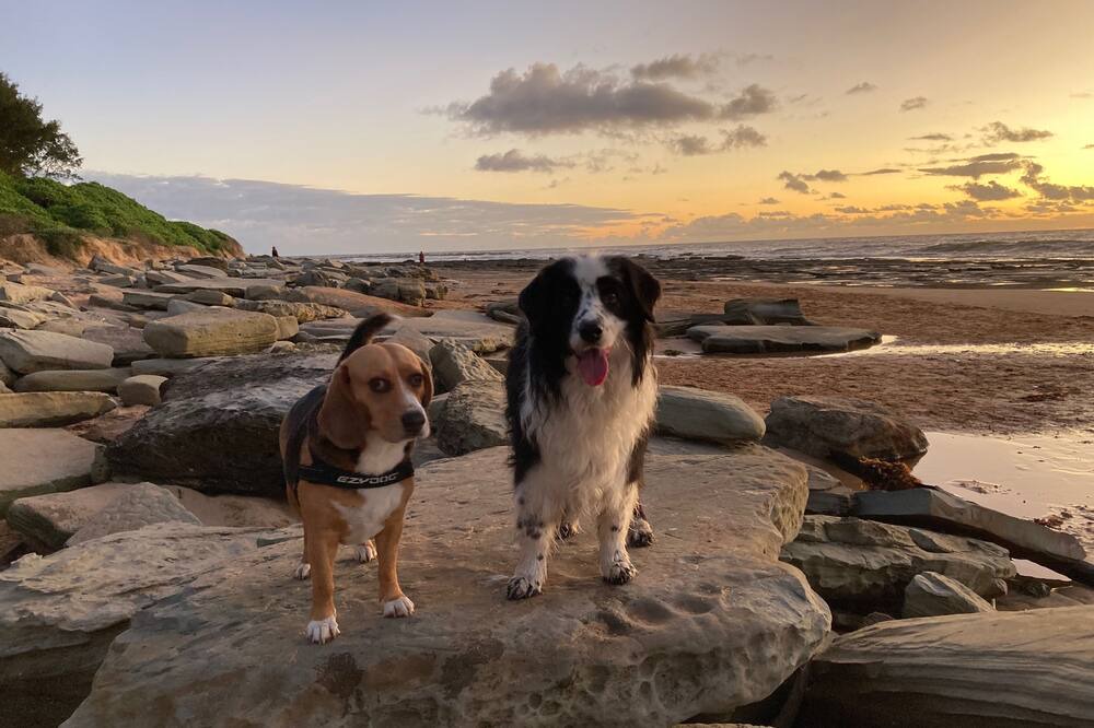 Photo of Others in Bateau Bay
