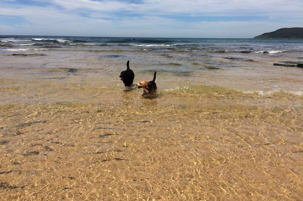 Photo of Others in Bateau Bay