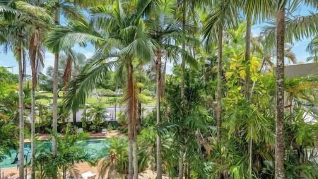 Photo of Outdoor in Cairns North