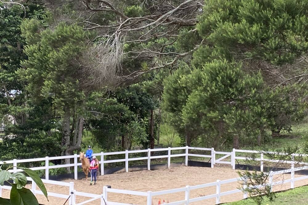 Photo of Others in Mooloolah Valley