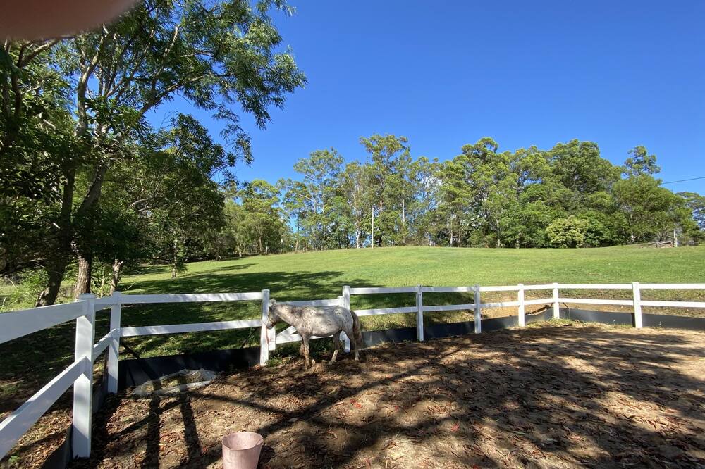 Photo of Outdoor in Mooloolah Valley