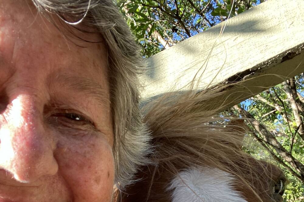 Photo of Others in Mooloolah Valley