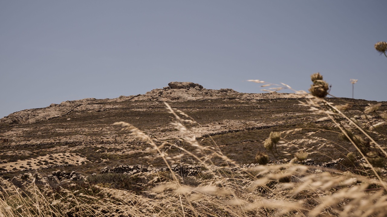 Photo of Outdoor in Elia