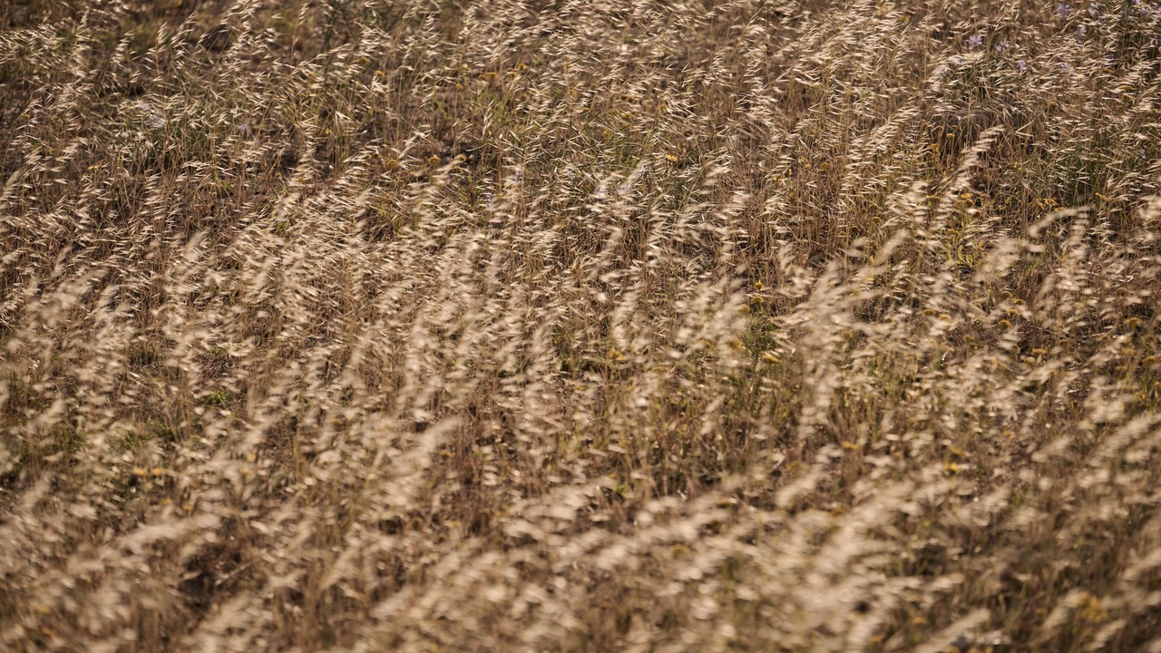 Photo of Outdoor in Elia