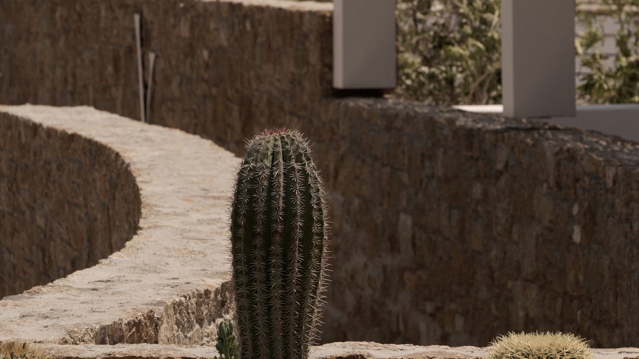 Photo of Outdoor in Elia