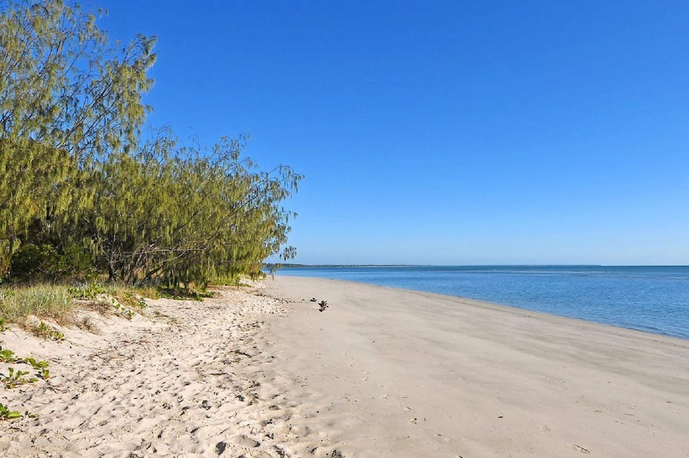 Photo of Others in Toogoom