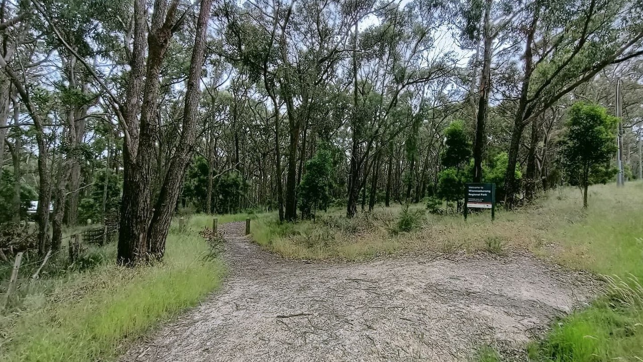 Photo of Outdoor in Mount Helen
