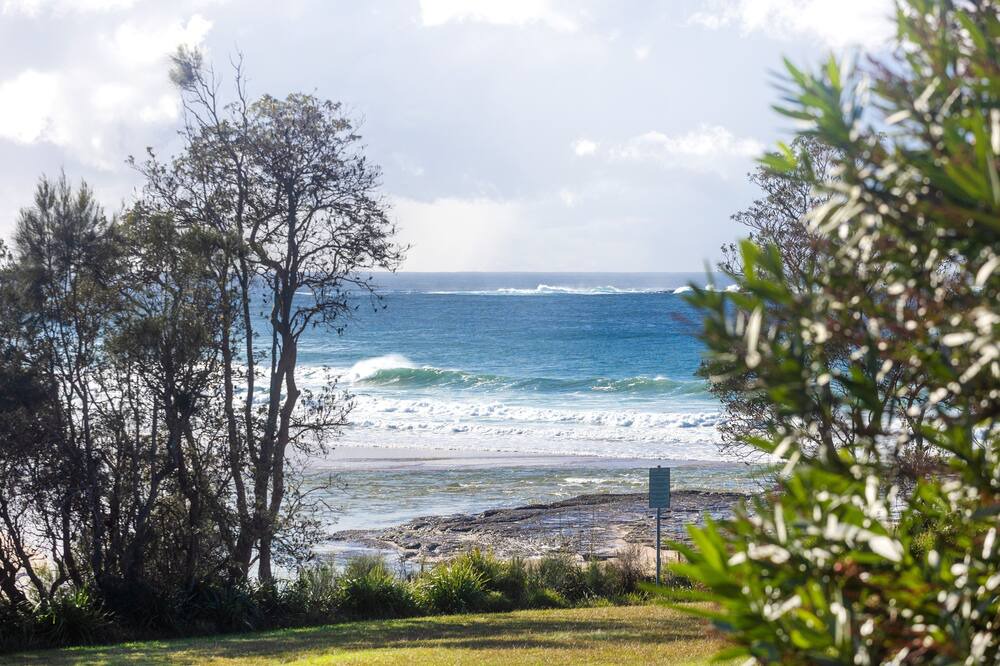 Photo of Others in Dolphin Point