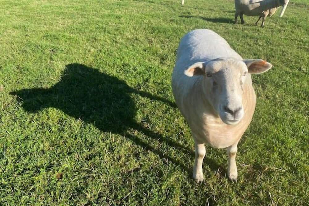 Photo of Others in Hagley