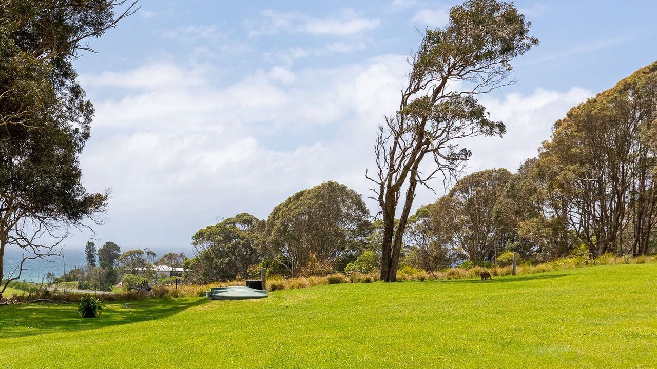Photo of Others in Barragga Bay