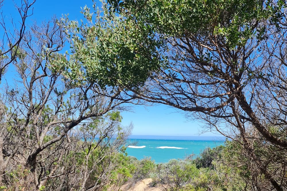 Photo of Others in Paradise Beach