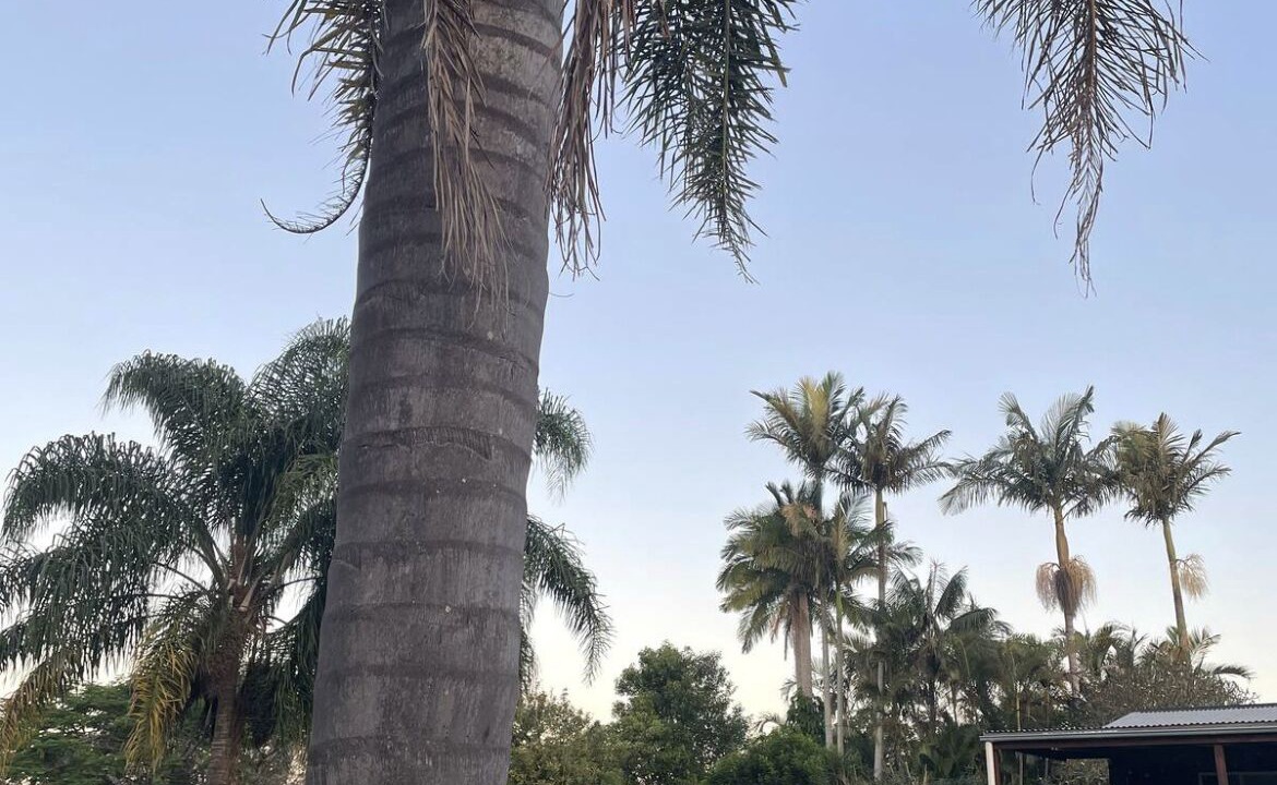 Photo of Outdoor in West Kempsey