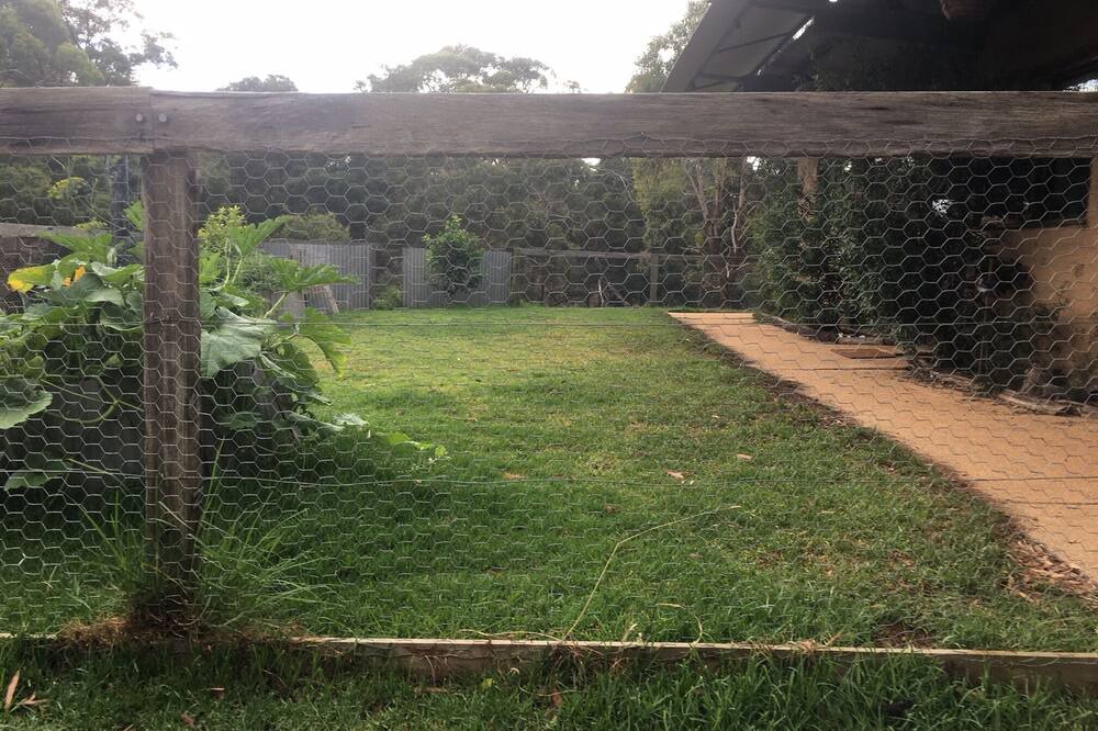 Photo of Others in Bellbrae