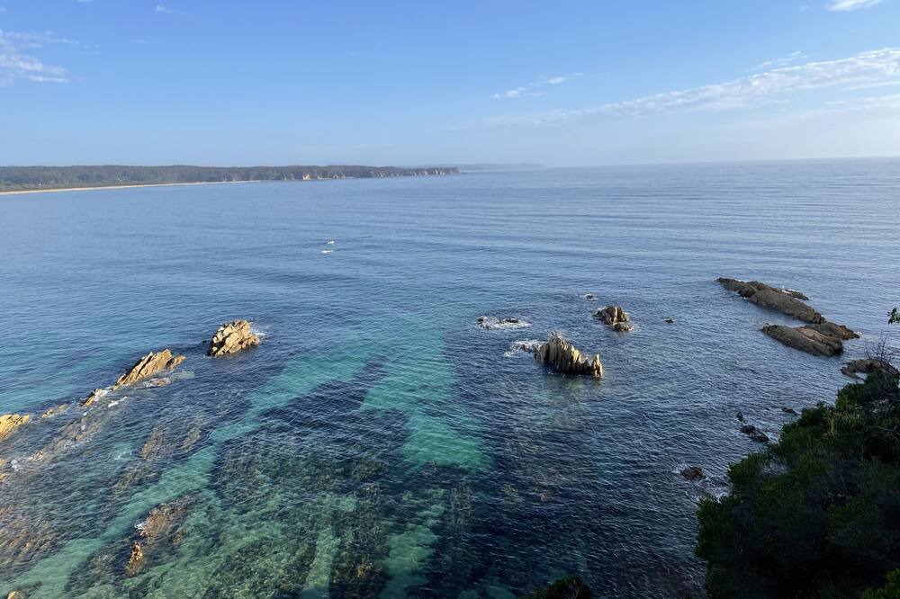 Photo of Others in Tathra