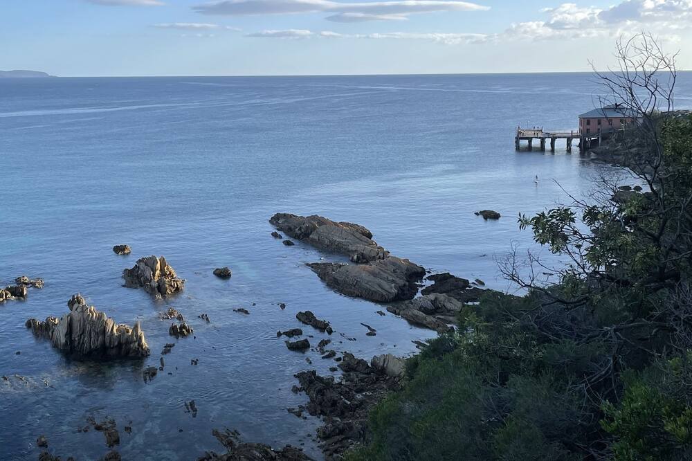 Photo of Others in Tathra