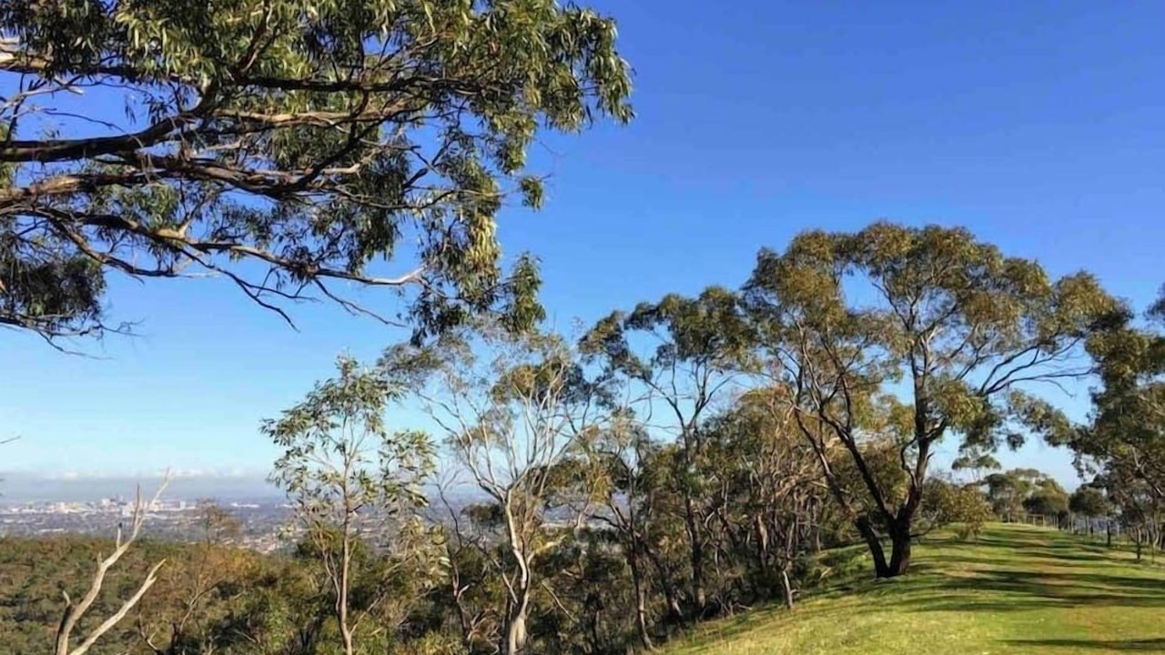 Photo of Outdoor in Campbelltown