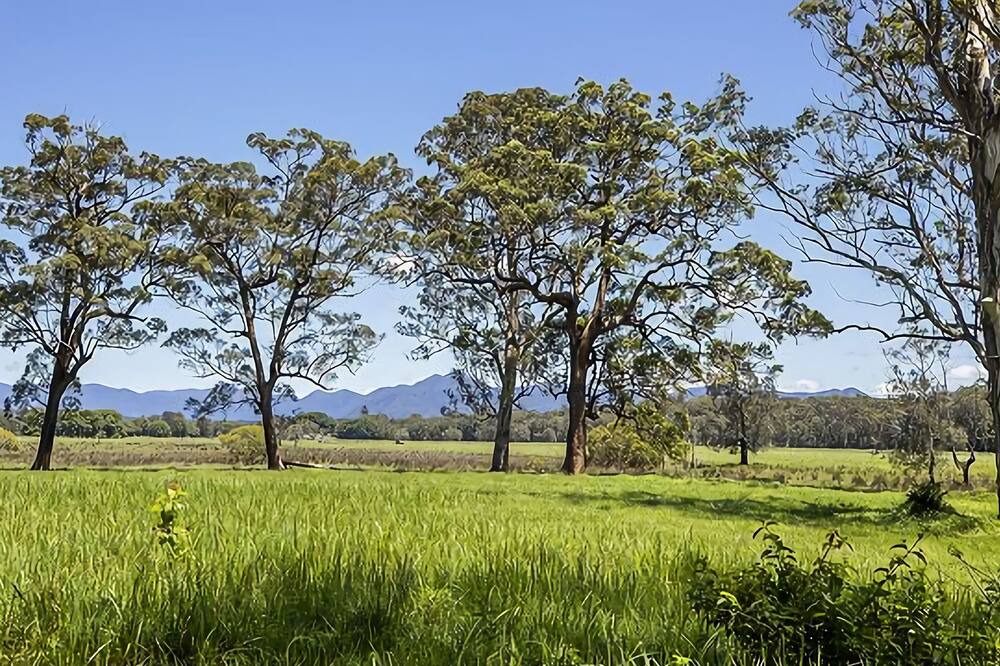 Photo of Outdoor in Mylestom