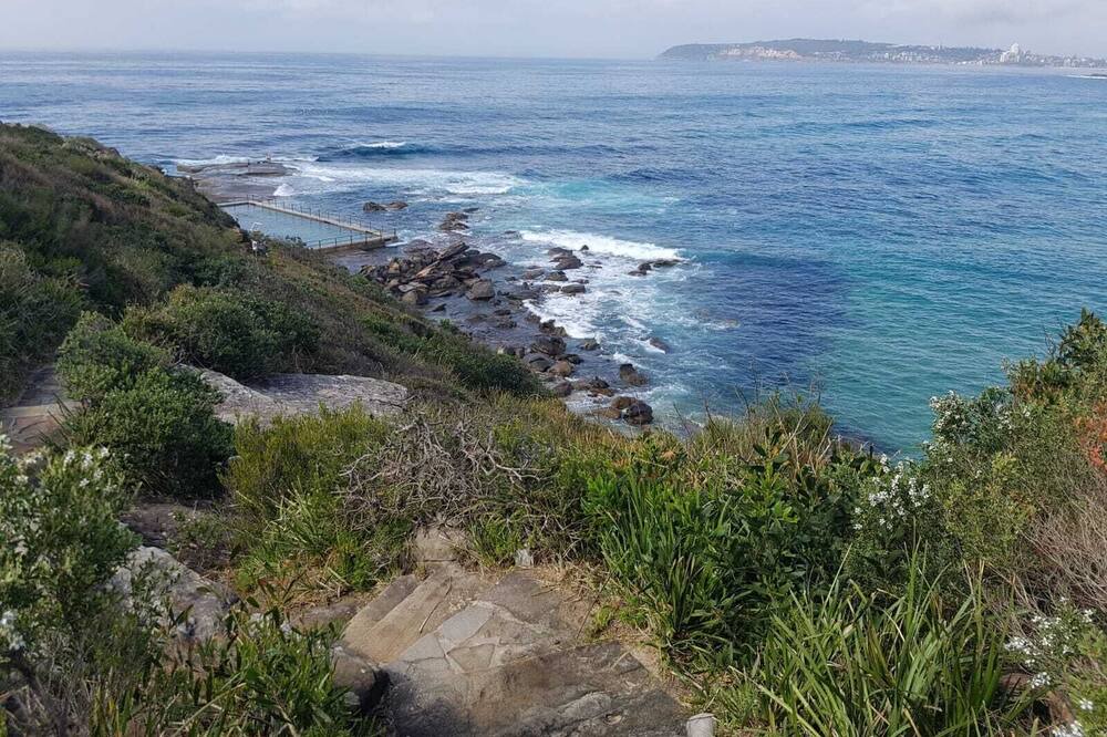 Photo of Others in Dee Why
