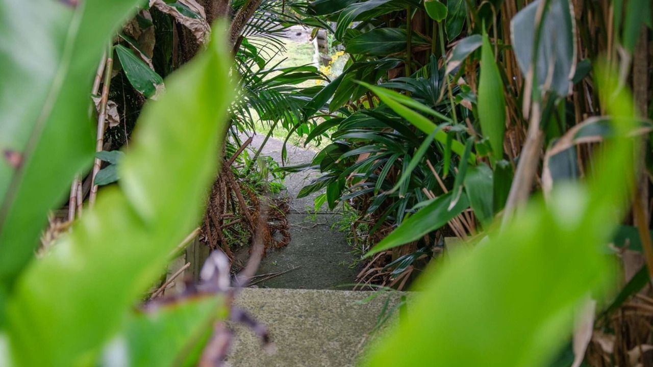 Photo of Outdoor in Avoca Beach