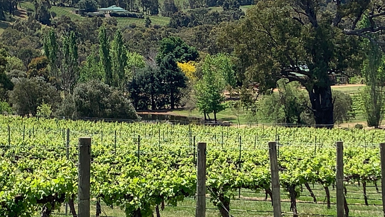Photo of Outdoor in Henty