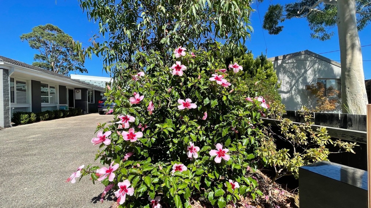 Photo of Outdoor in Mount Eliza
