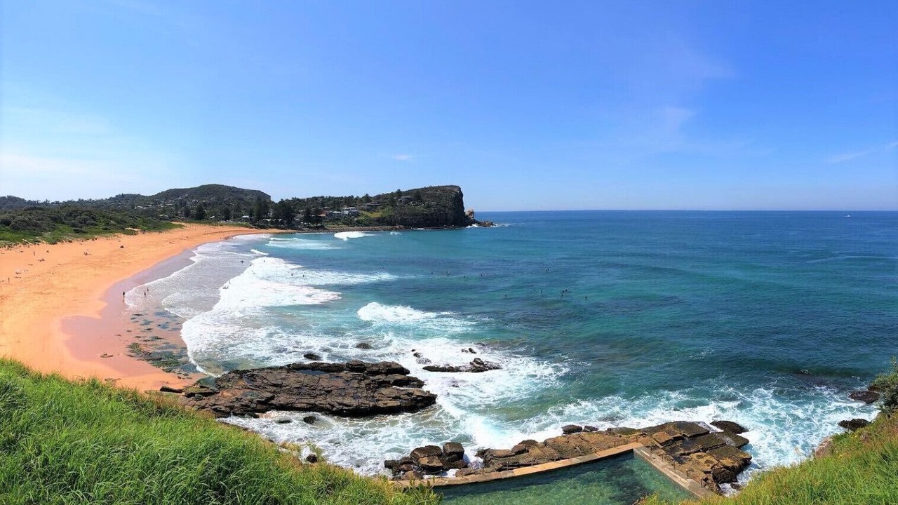 Photo of Others in Avalon Beach