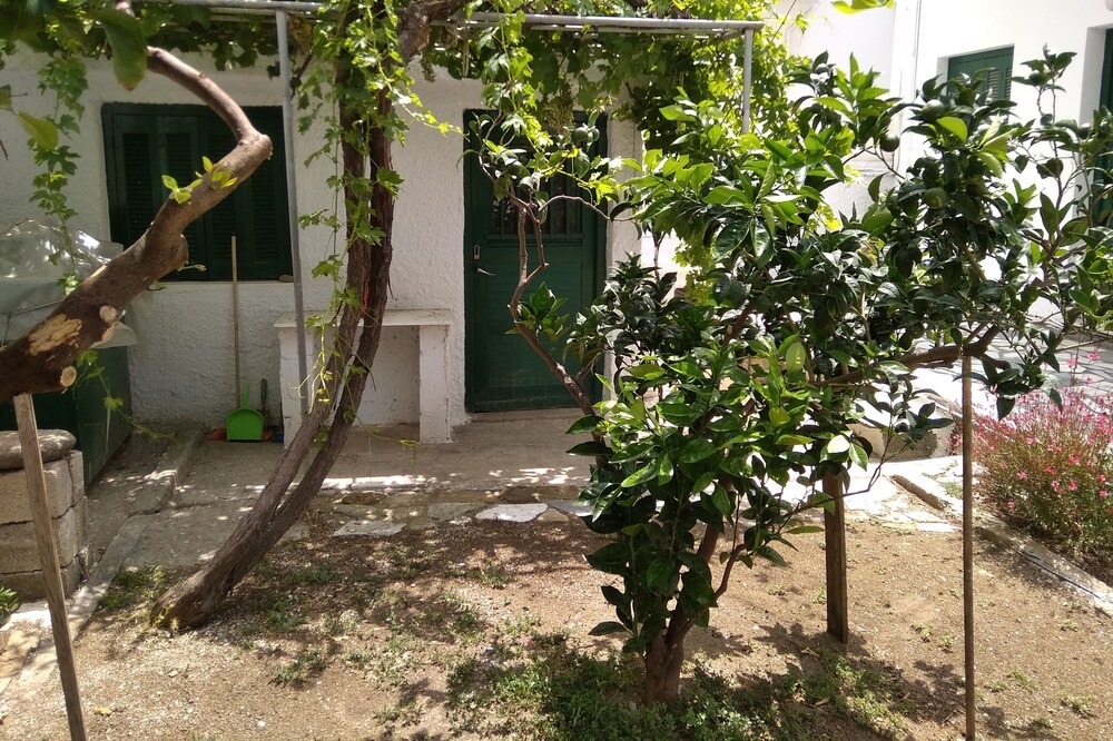 Photo of Outdoor in Tinos Town