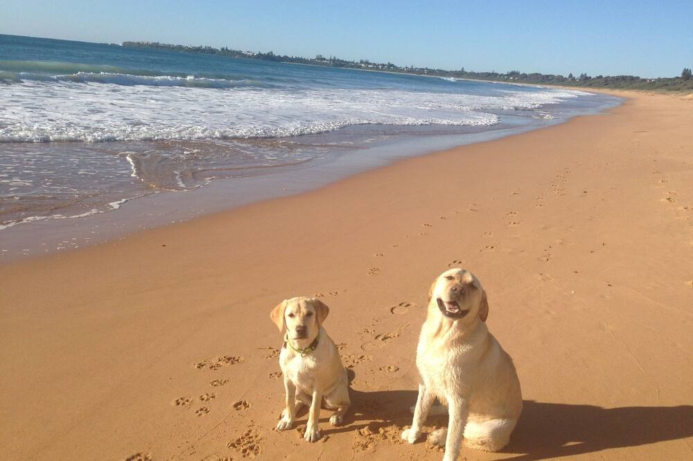 Photo of Outdoor in Culburra Beach
