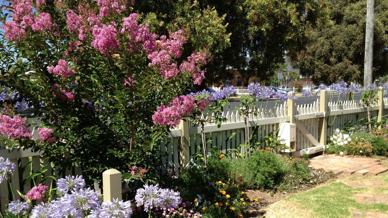 Photo of Outdoor in Central Mudgee